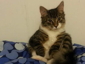 Meet your Posher, Luke